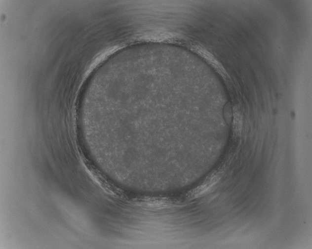 X0000080110626200701051330