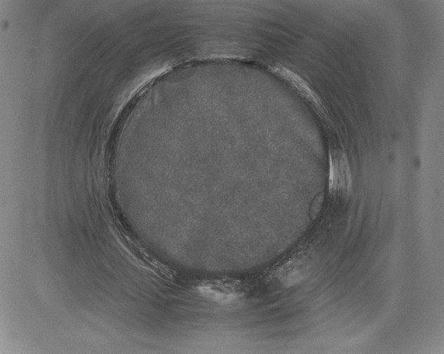 X0000080110627200701051330