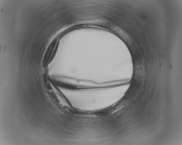 X0000080110628200701051330