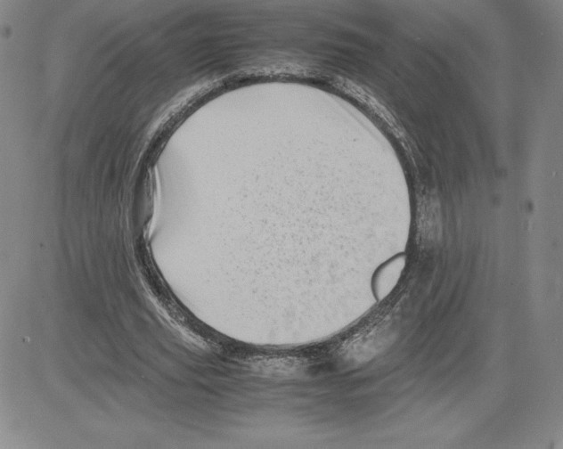 X0000080110629200701051330