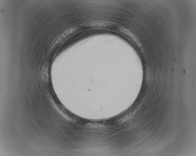 X0000080110633200701051330