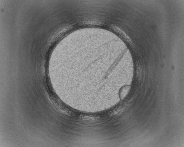 X0000080110635200701051330