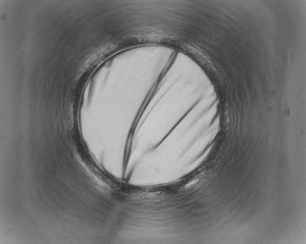 X0000080110638200701051330