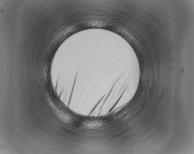 X0000080110639200701051330