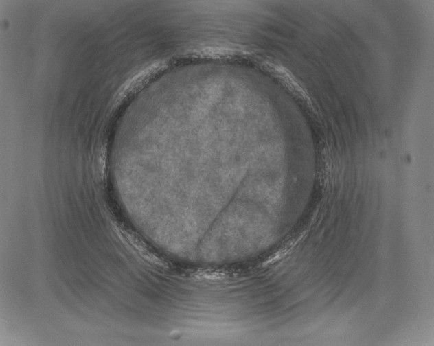 X0000080110640200701051330