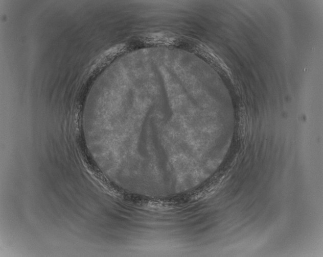 X0000080110641200701051330