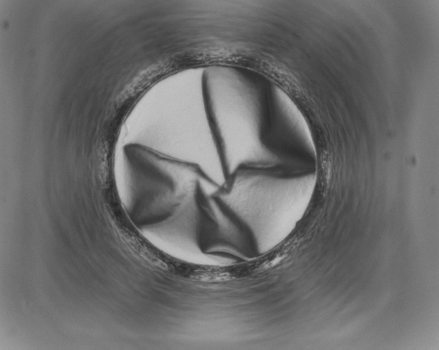 X0000080110642200701051330