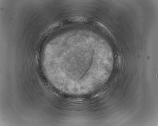 X0000080110643200701051330