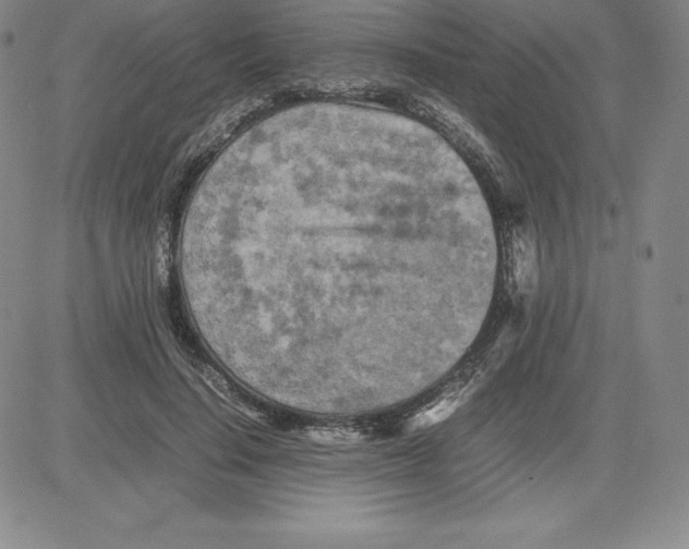 X0000080110644200701051330