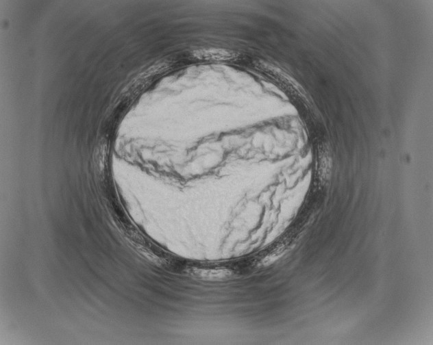 X0000080110645200701051330