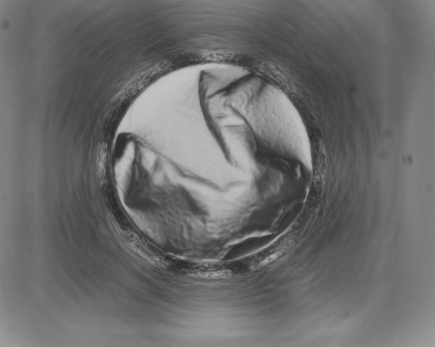 X0000080110646200701051330