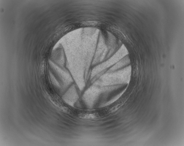 X0000080110647200701051331