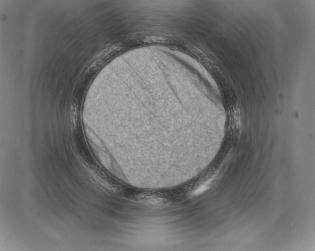 X0000080110648200701051331