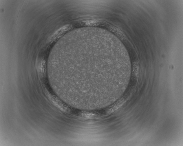 X0000080110650200701051331