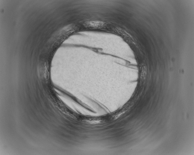 X0000080110651200701051331