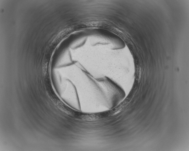 X0000080110652200701051331