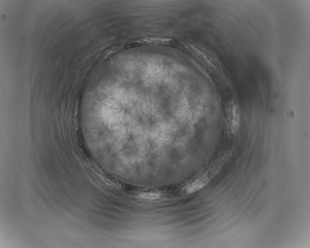 X0000080110653200701051331