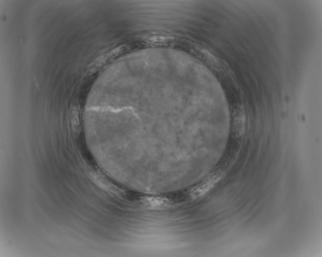 X0000080110654200701051331