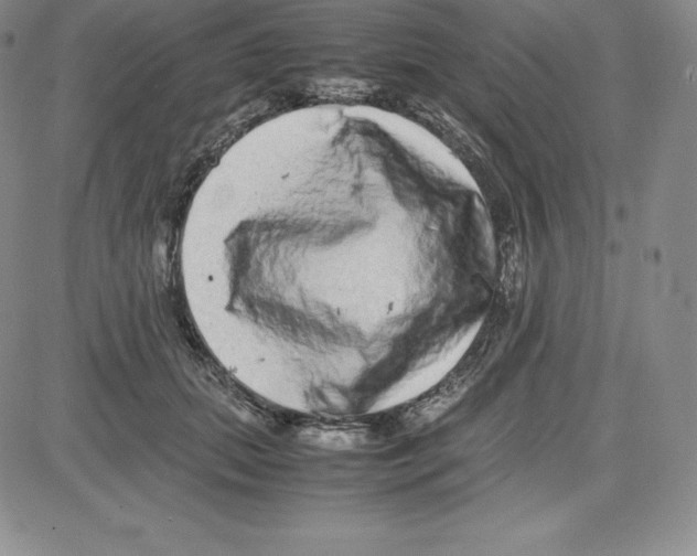 X0000080110655200701051331