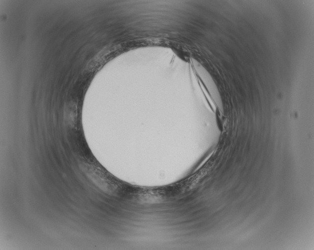 X0000080110656200701051331