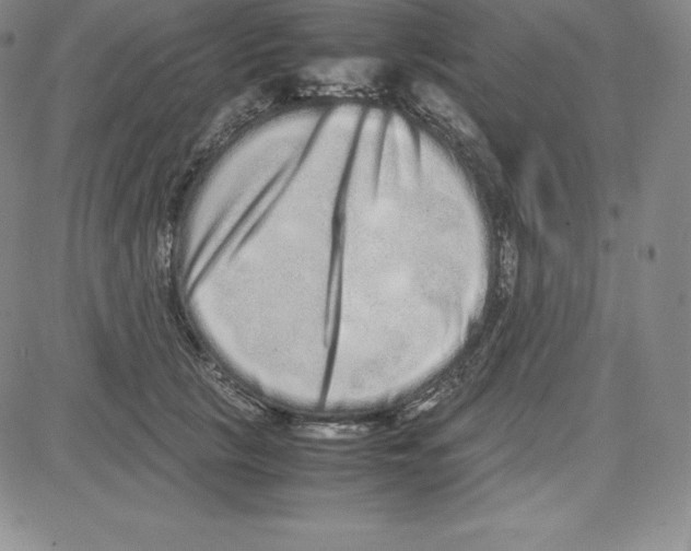 X0000080110657200701051331