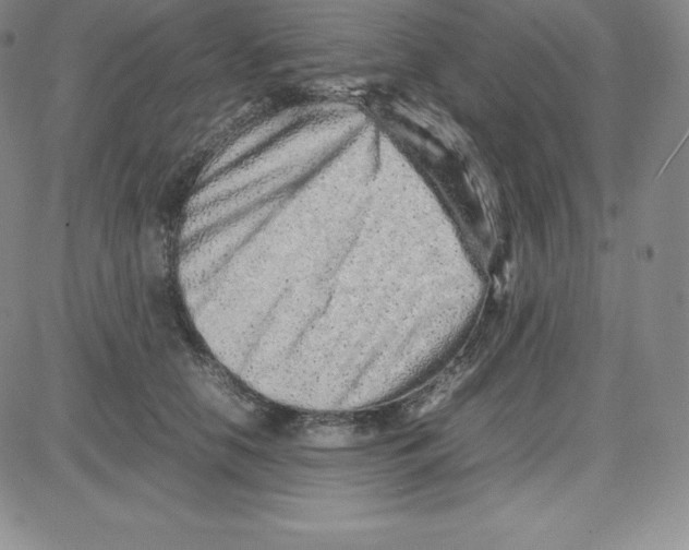 X0000080110658200701051331