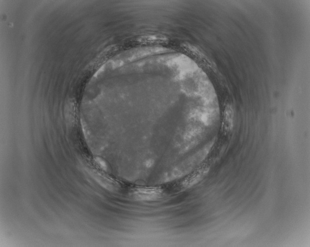 X0000080110659200701051331