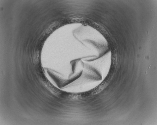 X0000080110660200701051331