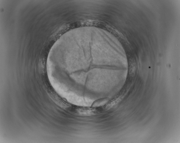 X0000080110661200701051331