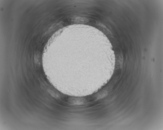 X0000080110663200701051331