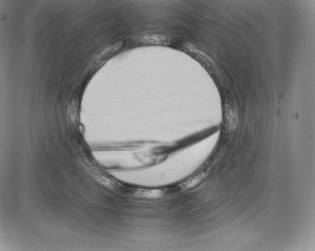 X0000080110665200701051331