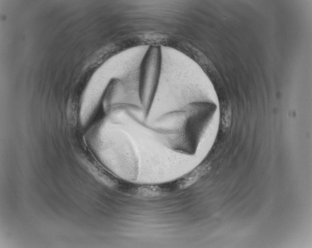 X0000080110666200701051331