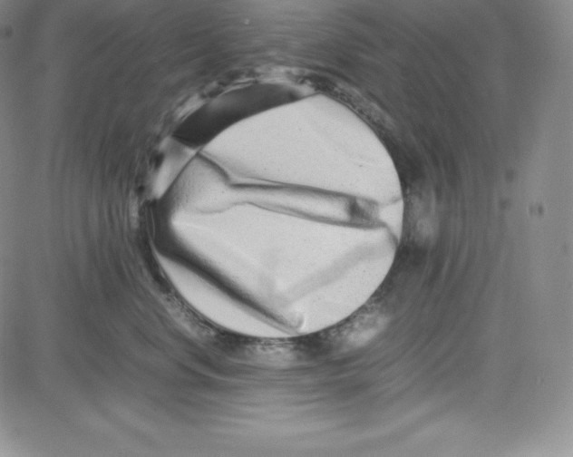 X0000080110668200701051331