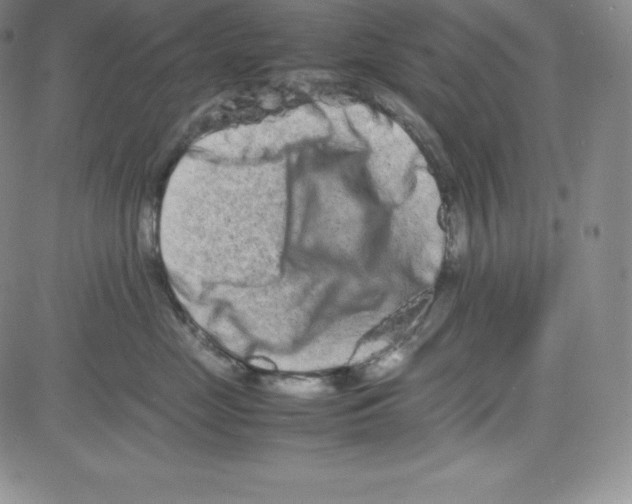 X0000080110669200701051331