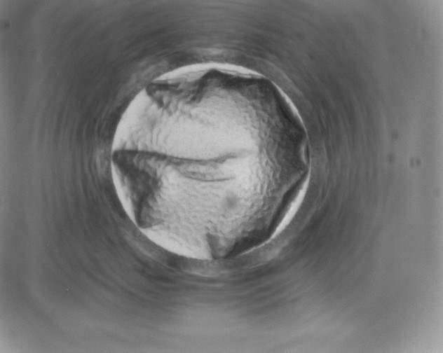 X0000080110671200701051331