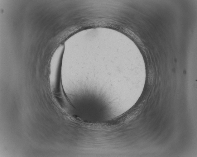 X0000080110673200701051330