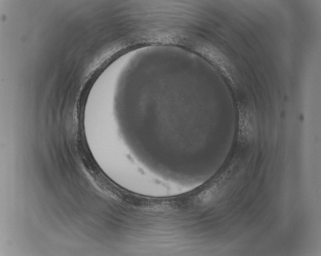 X0000080110674200701051330