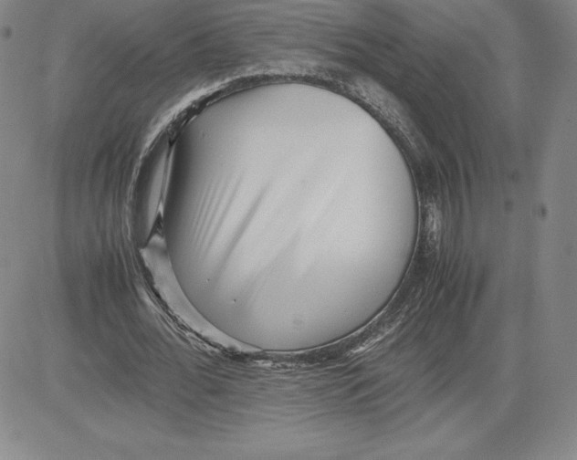 X0000080110676200701051330