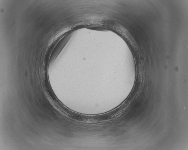 X0000080110677200701051330