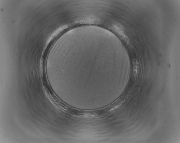 X0000080110678200701051330