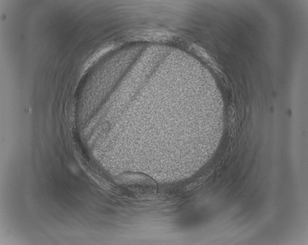 X0000080110679200701051330