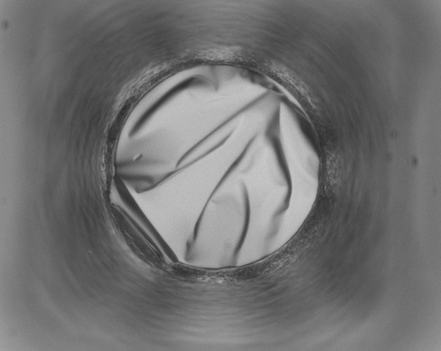 X0000080110682200701051330