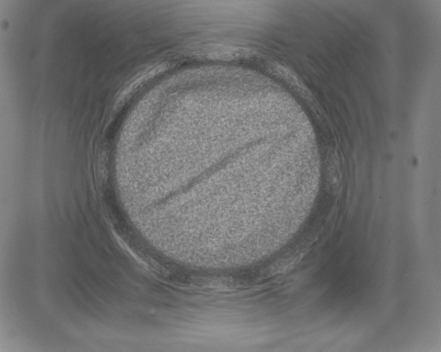 X0000080110683200701051330