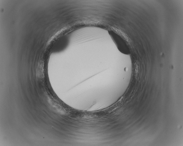 X0000080110684200701051330