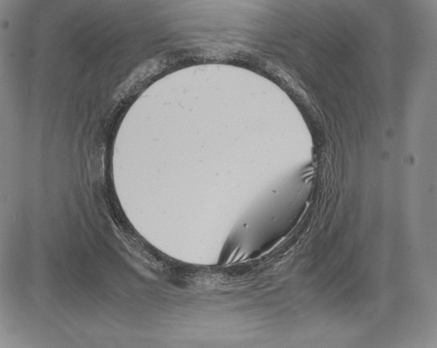 X0000080110685200701051330