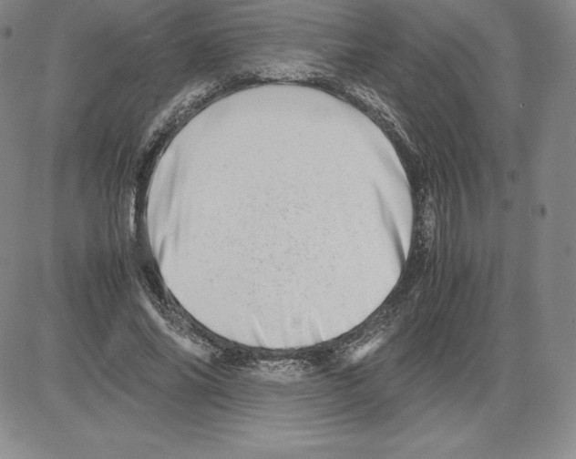 X0000080110686200701051330