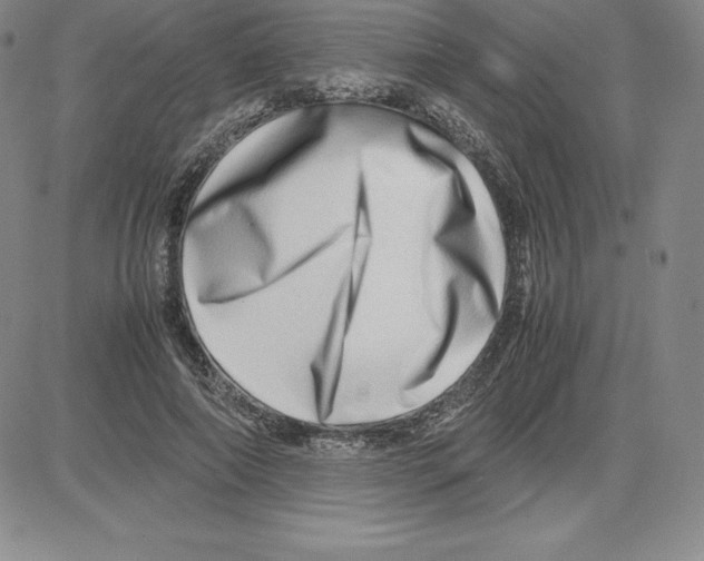 X0000080110690200701051330