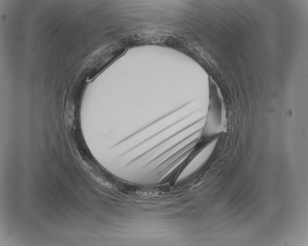 X0000080110693200701051330