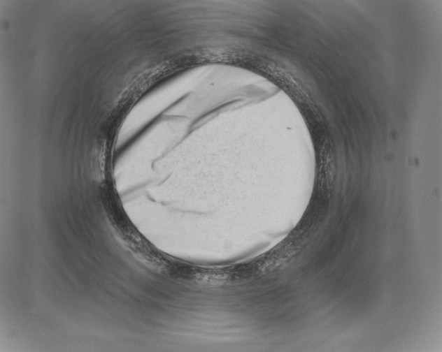 X0000080110694200701051330