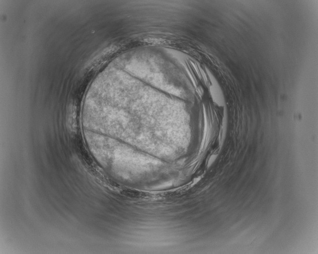 X0000080110696200701051330